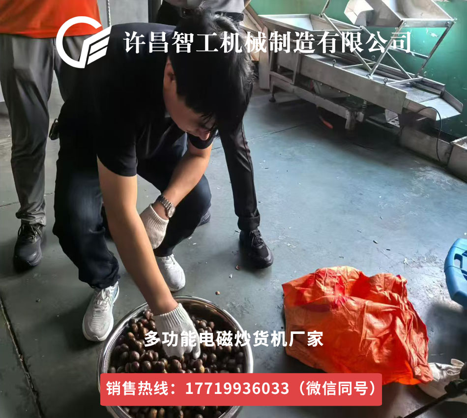電磁板栗炒貨機加工廠